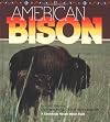 American Bison (Nature Watch)