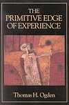 The Primitive Edge of Experience