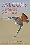 Falcons of North America