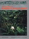 The Gardens of Roberto Burle Marx