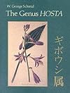 The Genus Hosta