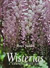 Wisterias: A Comprehensive Guide