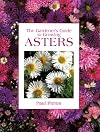 The Gardener's Guide to Growing Asters
