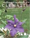 An Illustrated Encyclopedia of Clematis