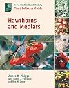 Hawthorns and Medlars (Royal Horticultural Society / Timber Press Plant Collectors)