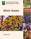 Witch hazels