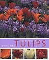 Gardening with Tulips