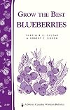 Grow the Best Blueberries