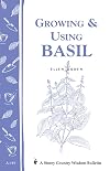 Growing and Using Basil