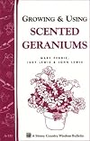 Growing & Using Scented Geraniums