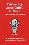 Celebrating Jesus Christ in Africa: Liturgy and Inculturation (Faith and Cultures Series)