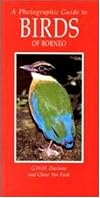 A Photographic Guide to Birds of Borneo