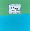 The Greatest Gift of All Is... A Son Like You: Words to Share With a Wonderful Son (Blue Mountain Arts Collection)