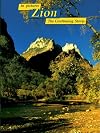 Zion, In Pictures: The Continuing Story