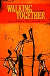 Walking together Christian thinking and public life in South Africa