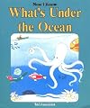 What's Under The Ocean (Now I Know)