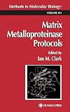 Matrix Metalloproteinase Protocols (Methods in Molecular Biology)