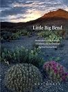 Little Big Bend: Common, Uncommon, and Rare Plants of Big Bend National Park (Grover E. Murray Studies in the American Southwest)