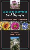Land of Enchantment Wildflowers: A Guide to the Plants of New Mexico (Grover E. Murray Studies in the American Southwest)