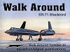 SR-71 Blackbird (Walk Around No. 32)