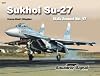 Sukhoi Su-27 Flanker - Walk Around No. 47