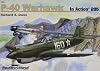 P-40 Warhawk in action - Aircraft No. 205