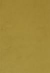 London Topographical Record: Vol. 30 (Publication)