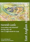 Norwich Castle : excavations and historical survey, 1987-98
