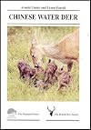 Chinese Water Deer