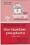 Twelve Prophets, Vol. 2: A New English Translation
