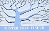 Winter Tree Finder: A Manual for Identifying Deciduous Trees in Winter