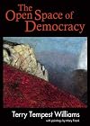 The Open Space of Democracy