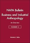 Business and Industrial Anthropology: An Overview (NAPA Bulletin)