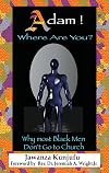 Adam! Where Are You?: Why Most Black Men Don't Go to Church
