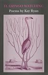 Flamingo Watching