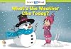 What's the Weather Like Today?