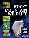 Rocky Mountain Wildlife