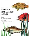 Down by Jim Longs Stage: Rhymes for children and young fish