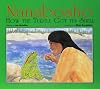 Nanabosho: How the Turtle Got Its Shell