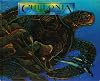 Chelonia: El Retorno De La Tortuga Marina / the Return of the Sea Turtle (Spanish Edition)