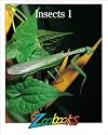 Insects 1 (Zoobooks Series)