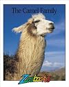 Camels (Zoobooks Series)