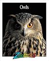 Owls (Zoobooks Series)