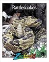 Rattlesnakes (Zoobooks Series)