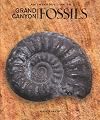 An Introduction to Grand Canyon Fossils