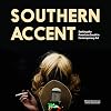 Southern Accent: Seeking the American South in Contemporary Art