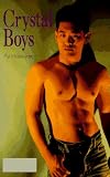 Crystal Boys: A Novel