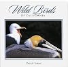 Wild Birds of California