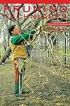 BBG Record: Pruning Techniques v47 n01