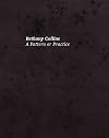 Bethany Collins: A Pattern or Practice